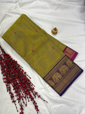 Chettinad cotton saree-green-blue-pink-butta